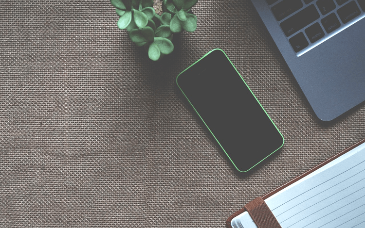 plant, notebook and devices laying on the table