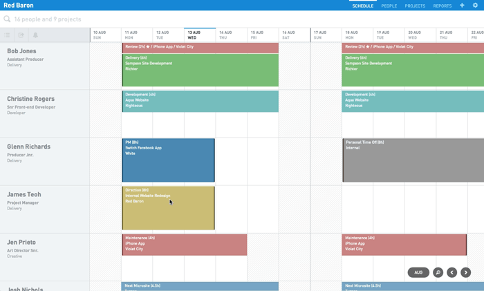 project management tool