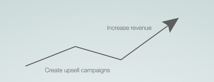 Upsell campaigns to increase revenue