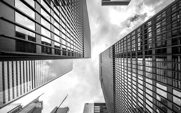 How to Implement Business Intelligence - Scoro