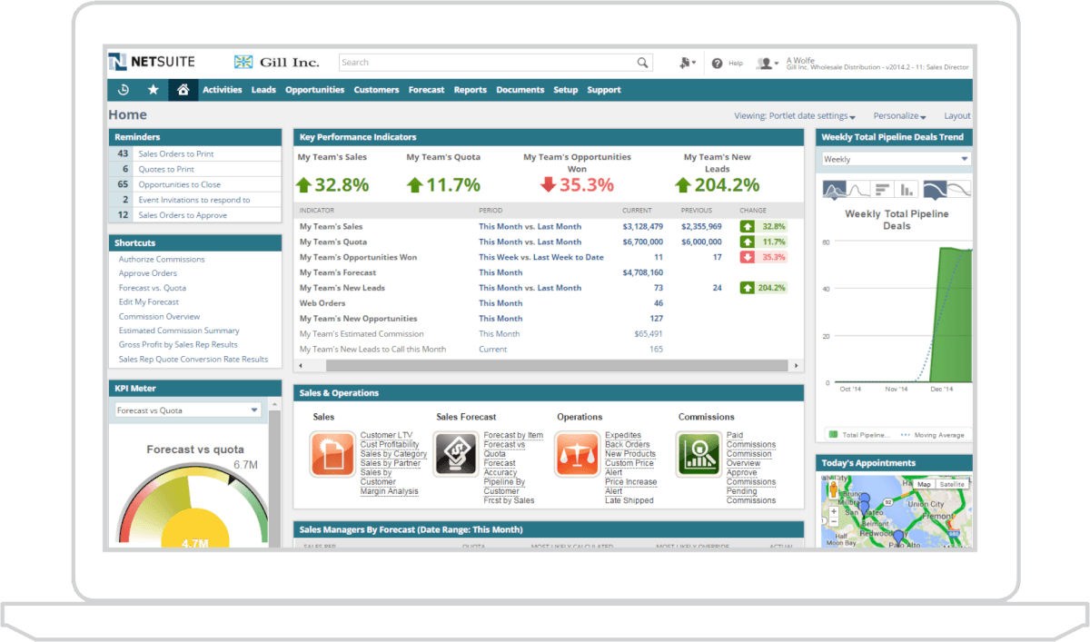 NetSuite Business Management