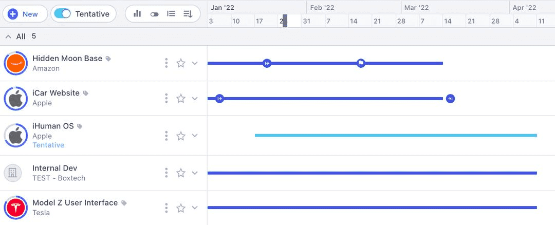 Project overview in Runn