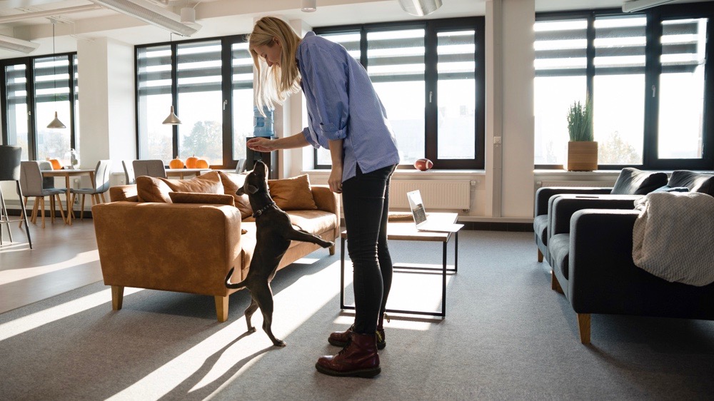 Scoro Among the Most Family-Friendly Workplaces