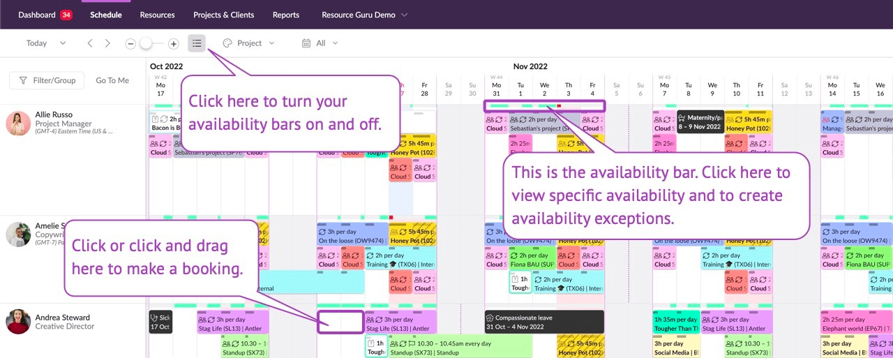 Screenshot showing Schedule view in Resource Guru
