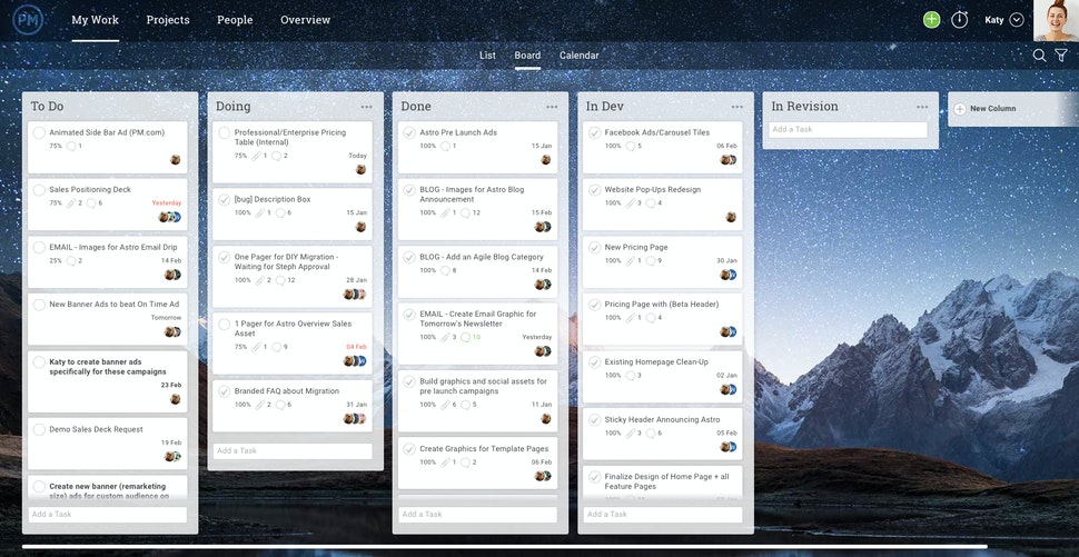 projectmanager.com product screenshot