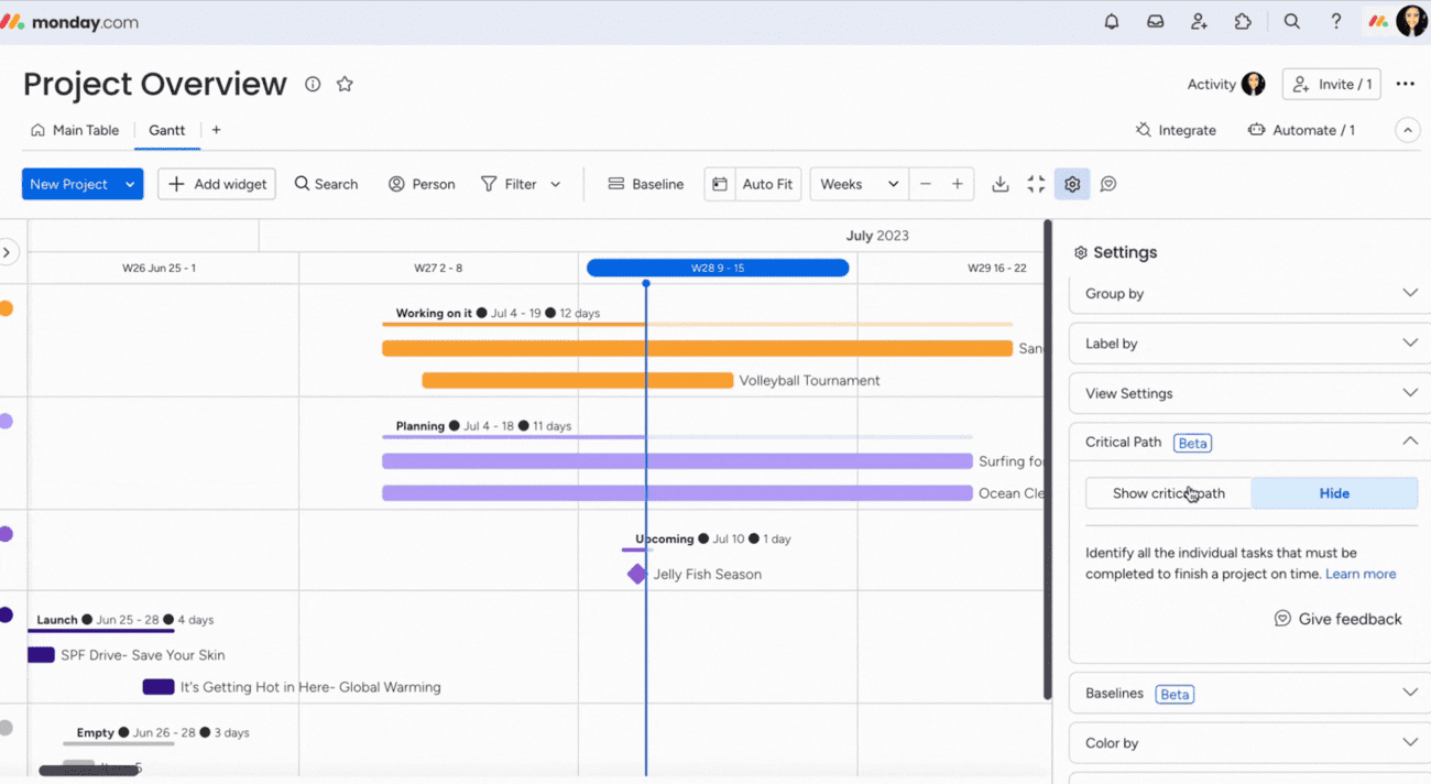 Screenshot showing critical path settings for a project in Monday