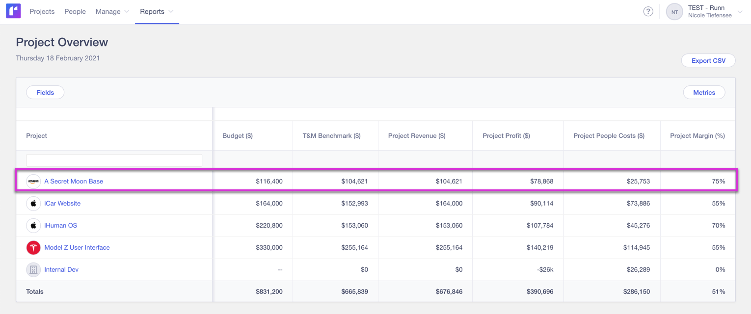 Project overview in Runn