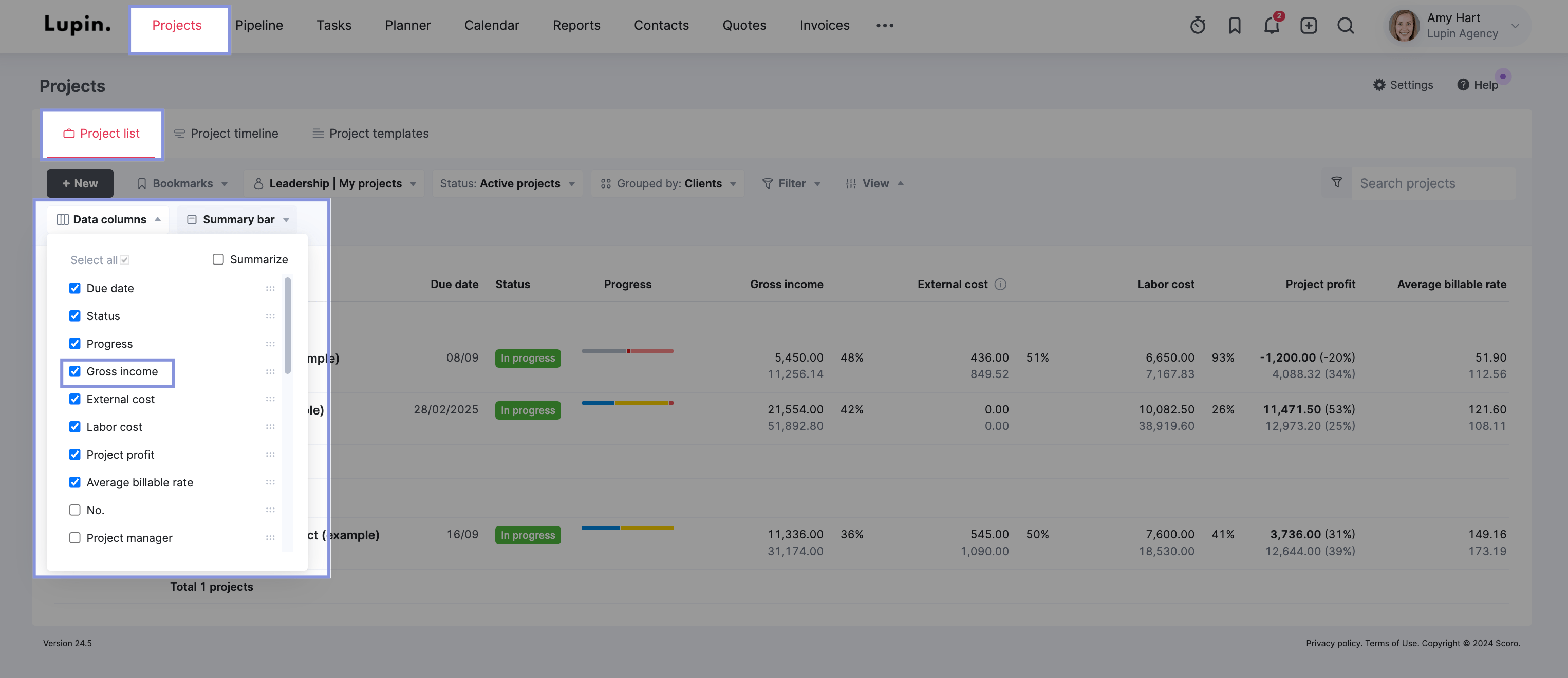 Project list view with gross income checked